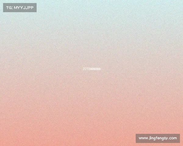 2019女排赛事时间表